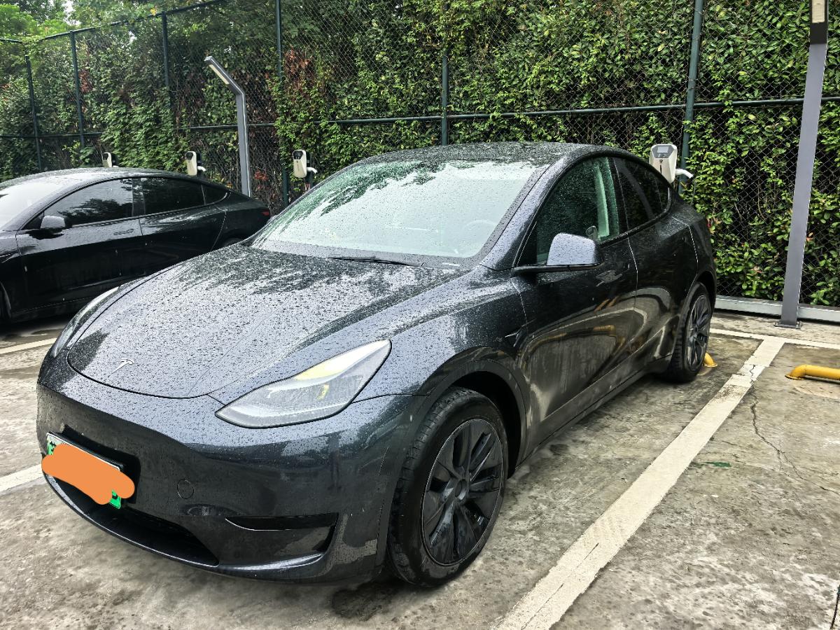 Tesla Model Y 2024 Tesla Model Y 2024 car image