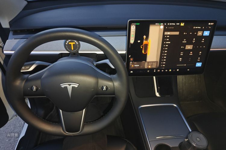 Tesla Model Y 2024 car image #13