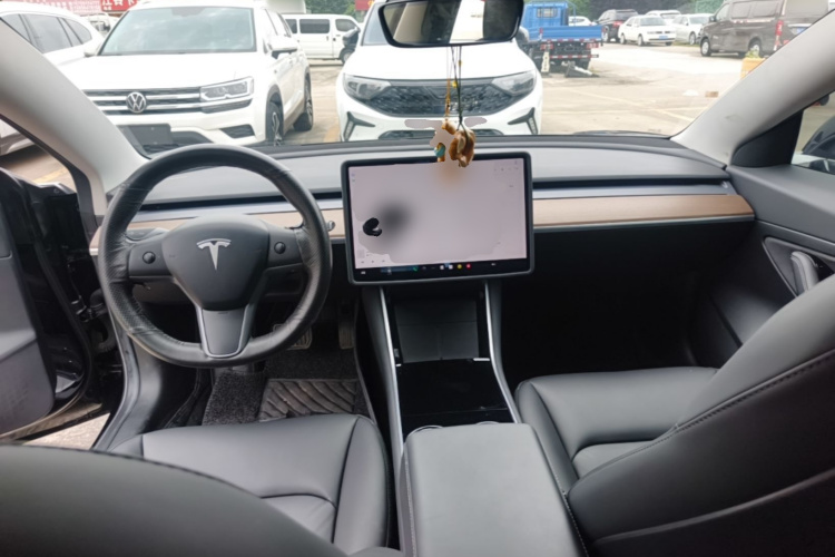 Tesla Model 3 2020 immagine di auto #10