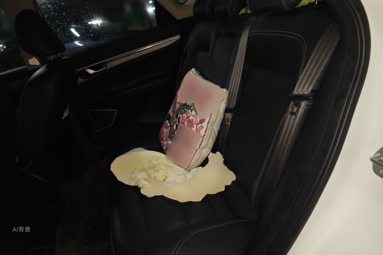GEELY Emgrand GS 2017 #19 GEELY Emgrand GS 2017 car image #19
