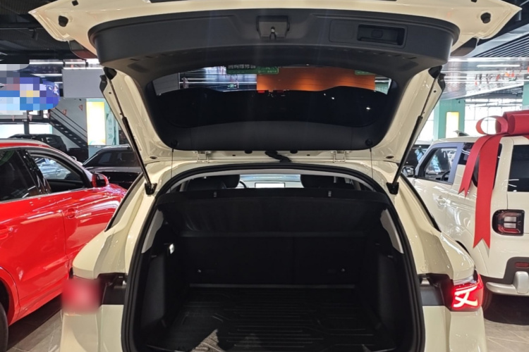 BYD Yuan Plus 2025 car image #19