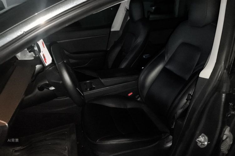 Tesla Model 3 2020 #17 Tesla Model 3 2020 car image #17