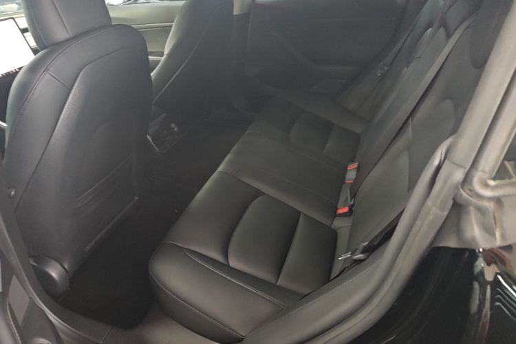 Tesla Model 3 2020 car image #17