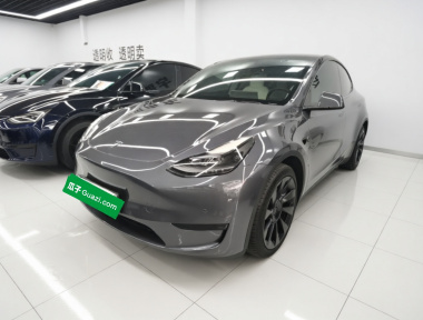 Tesla Model Y 2023 immagine di auto 