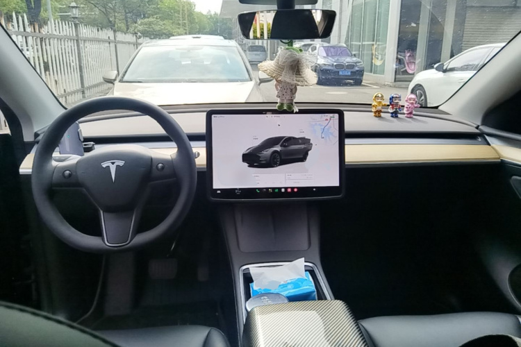 Tesla Model Y 2023 #10 Tesla Model Y 2023 car image #10