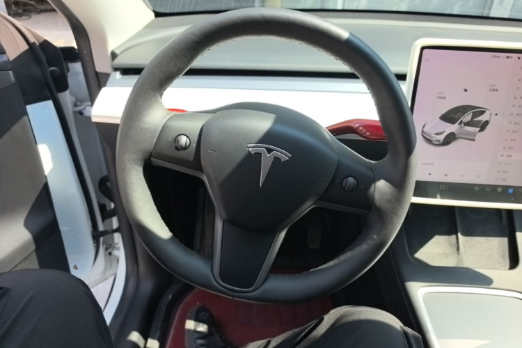 Tesla Model Y 2021 #11 Tesla Model Y 2021 car image #11