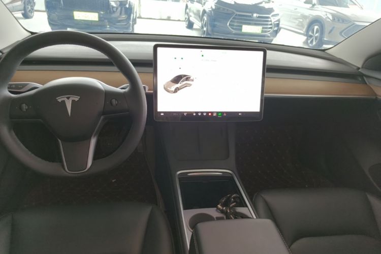 Tesla Model 3 2021 car image #13