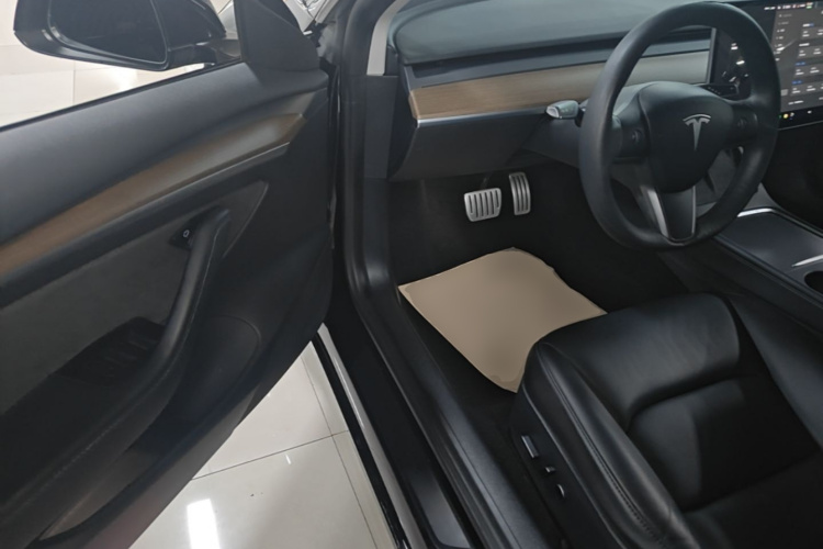 Tesla Model 3 2020 car image #16