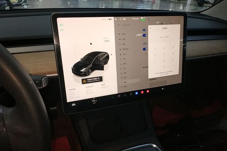 Tesla Model 3 2022 #13 Tesla Model 3 2022 car image #13