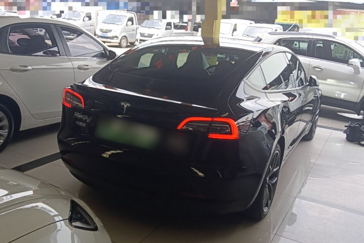 Tesla Model 3 2021 #5 Tesla Model 3 2021 car image #5