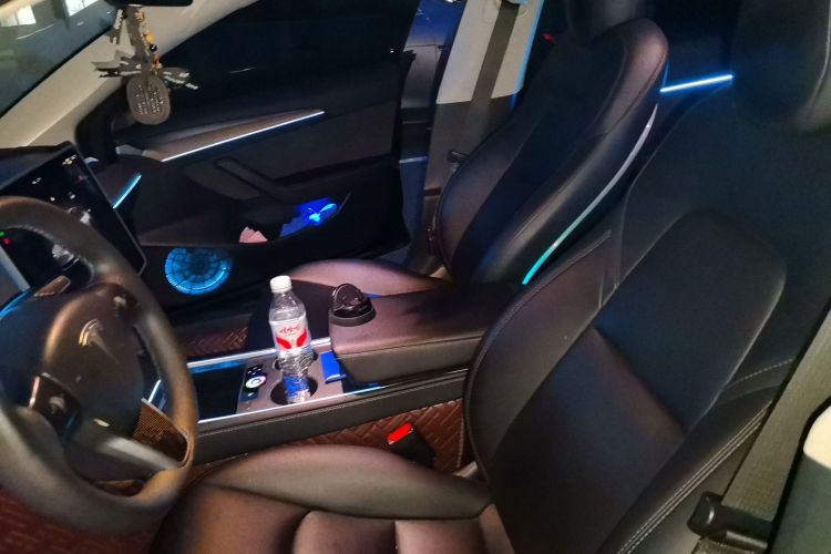 Tesla Model 3 2023 car image #19