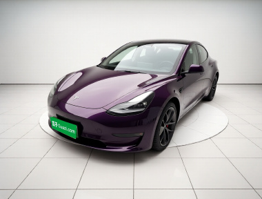 Tesla Model 3 2023 Tesla Model 3 2023 car image