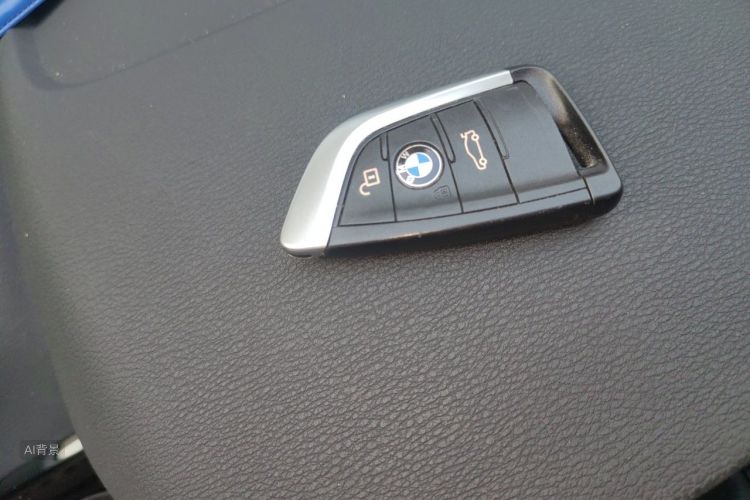 BMW X1 2019 car image #10