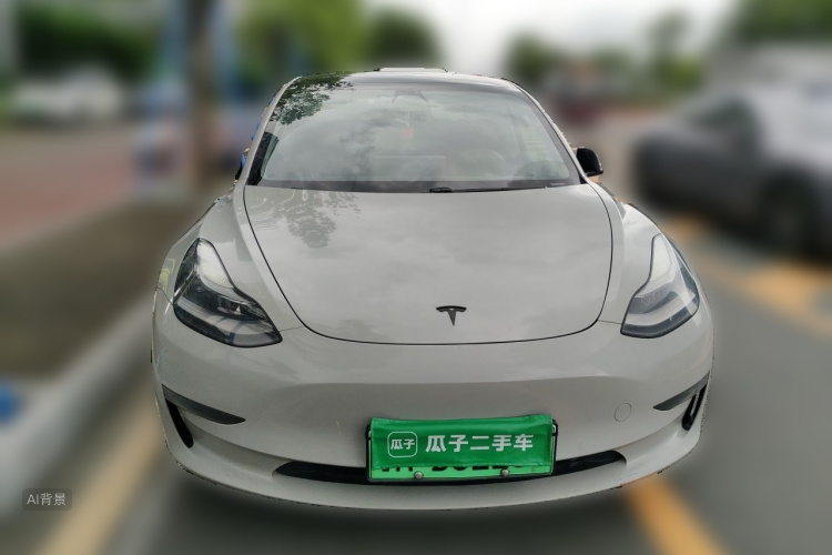 Tesla Model 3 2020 car image #3