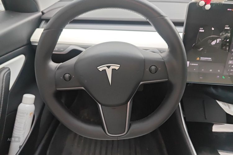 Tesla Model 3 2020 car image #12