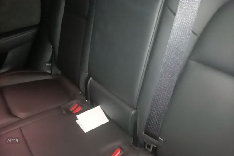 Tesla Model Y 2021 car image #19