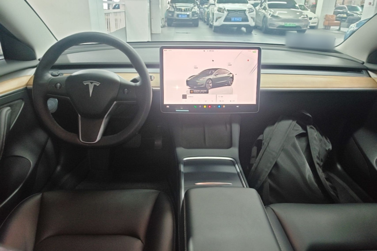 Tesla Model 3 2022 #10 Tesla Model 3 2022 car image #10