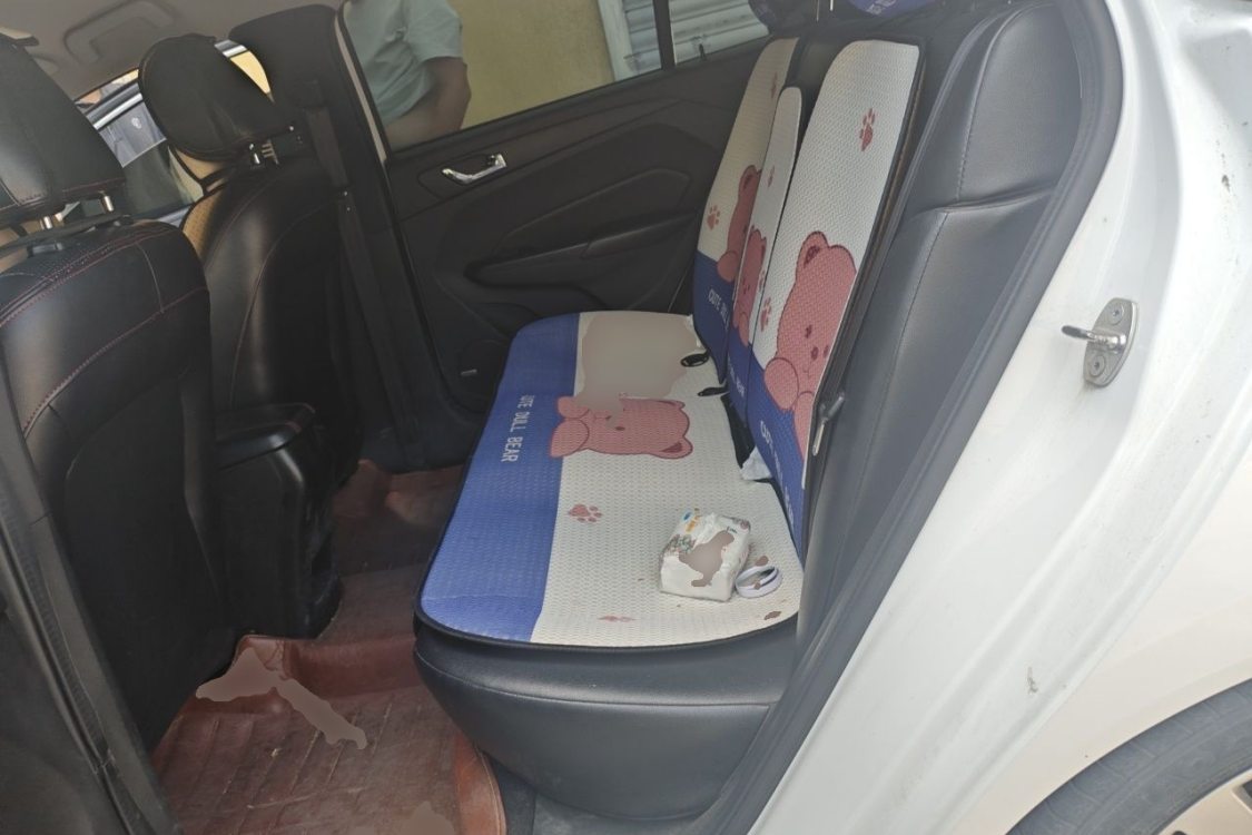 Chery Arrizo 5 2016 car image #21