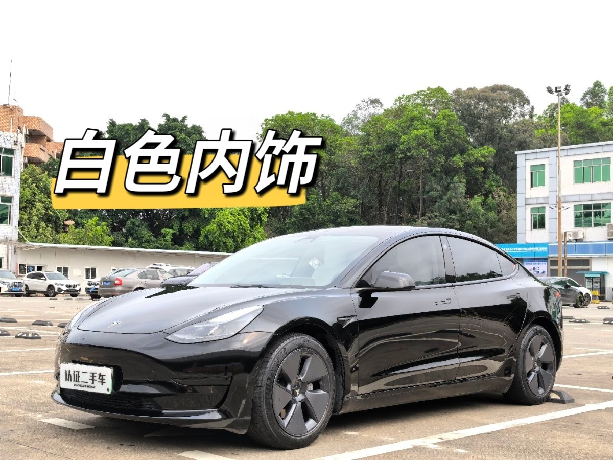 Tesla Model 3 2021 Tesla Model 3 2021 car image