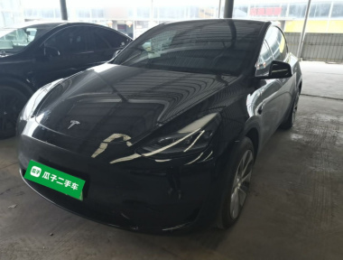 Tesla Model Y 2023 car image 