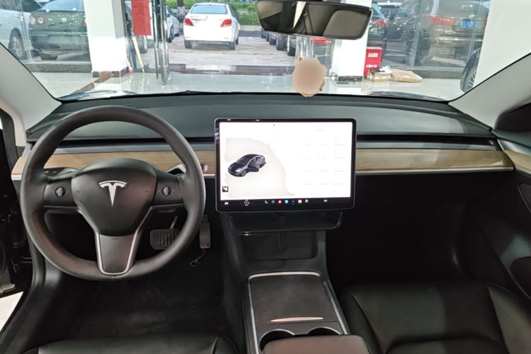 Tesla Model 3 2021 car image #10