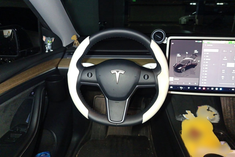 Tesla Model Y 2022 #11 Tesla Model Y 2022 car image #11