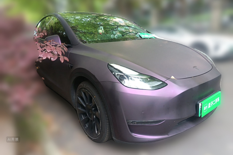 Tesla Model Y 2021 #4 Tesla Model Y 2021 car image #4