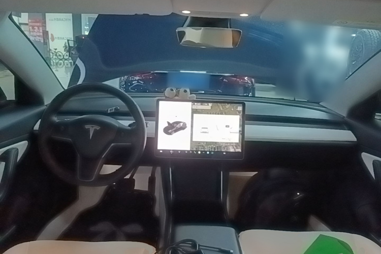 Tesla Model 3 2020 #11 Tesla Model 3 2020 car image #11