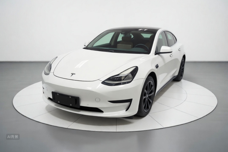 Tesla Model 3 2021 car image #2
