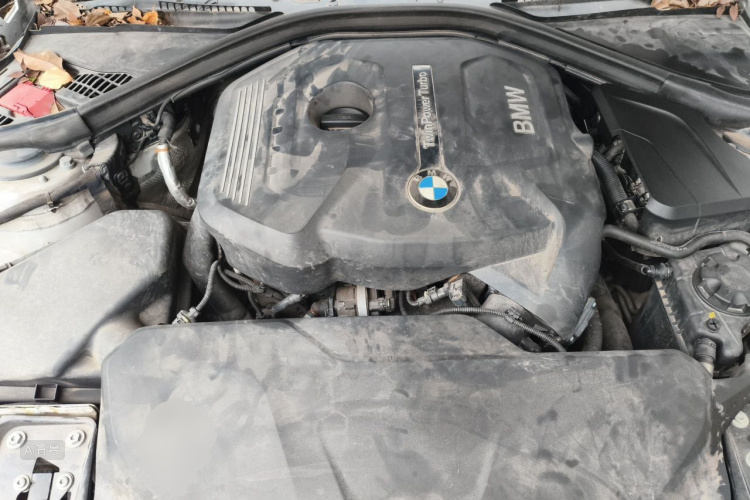 BMW 3 Series 2017 #22 BMW 3 Series 2017 car image #22