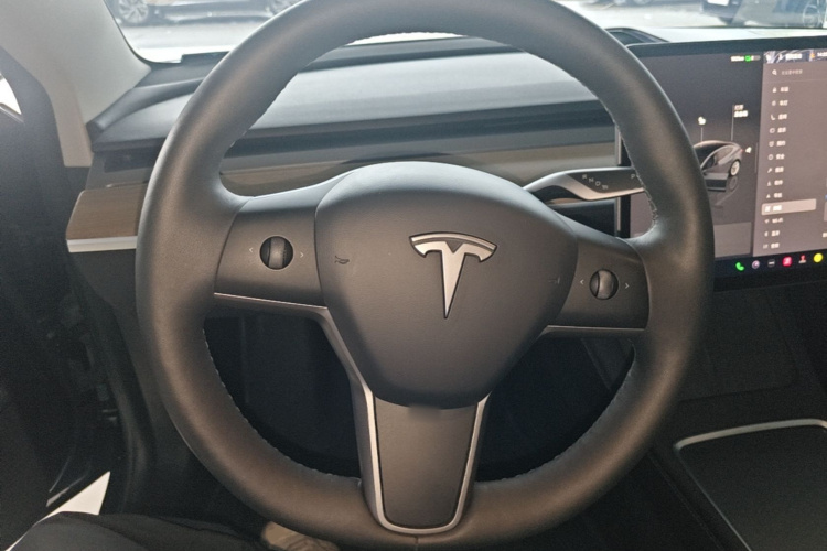 Tesla Model 3 2023 #11 Tesla Model 3 2023 car image #11