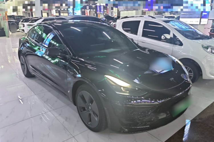 Tesla Model 3 2022 car image #6