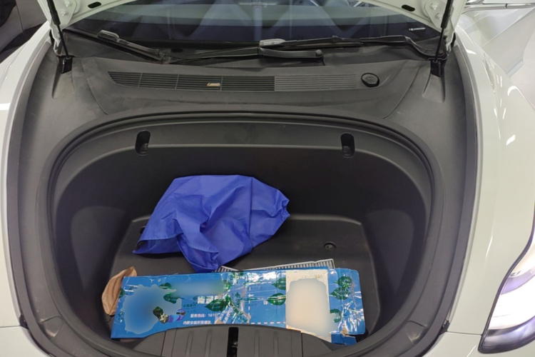 Tesla Model 3 2020 immagine di auto #20