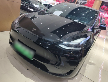Tesla Model Y 2022 Tesla Model Y 2022 car image