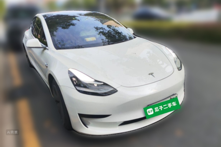Tesla Model 3 2020 immagine di auto #4