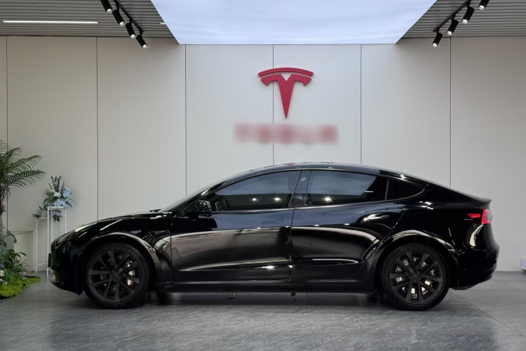 Tesla Model 3 2023 #7 Tesla Model 3 2023 car image #7