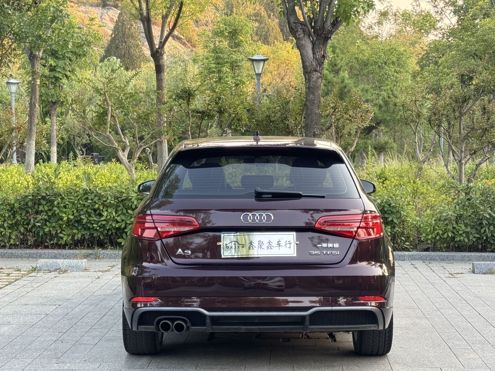 Audi A3 2019 car image #8