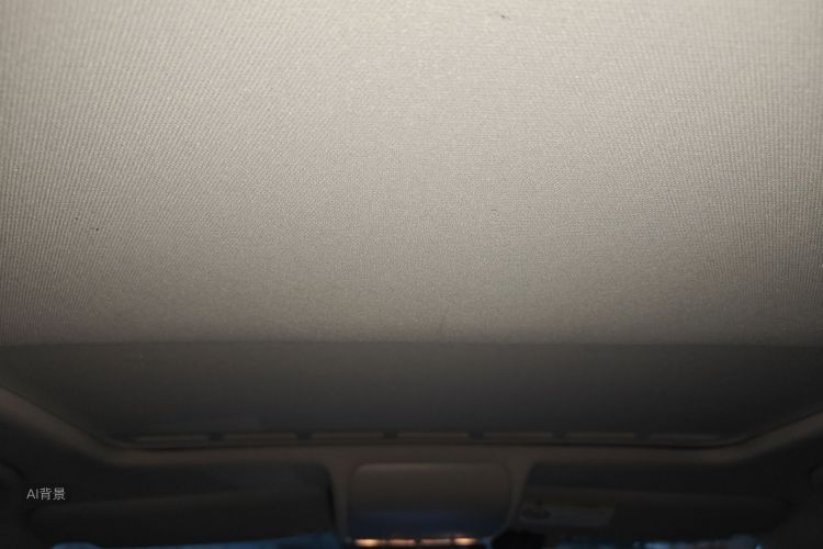 Volkswagen Polo 2017 car image #20