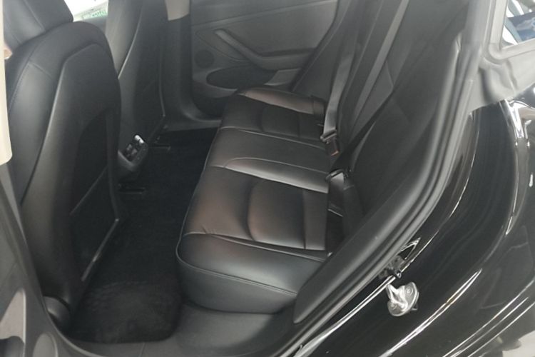 Tesla Model 3 2021 car image #17