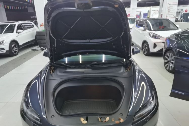 Tesla Model 3 2024 #20 Tesla Model 3 2024 car image #20