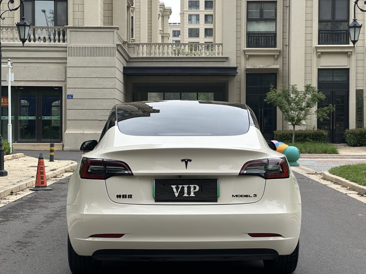 Tesla Model 3 2021 #8 Tesla Model 3 2021 car image #8