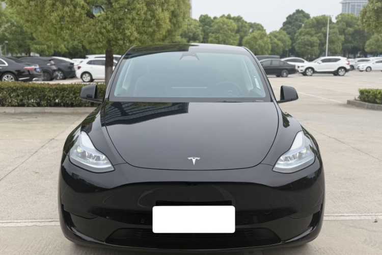 Tesla Model Y 2023 car image #10