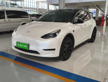 Tesla Model Y 2023 Tesla Model Y 2023 car image