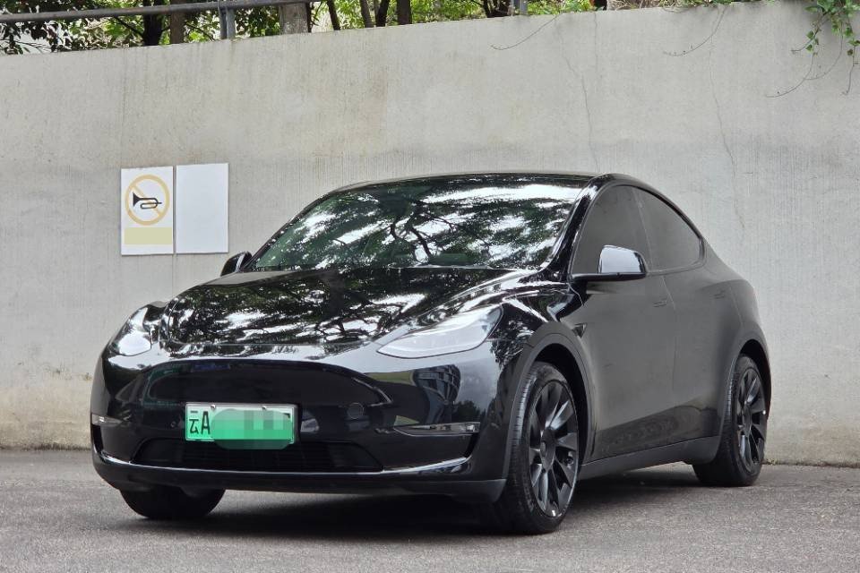 Tesla Model Y 2021 Tesla Model Y 2021 car image