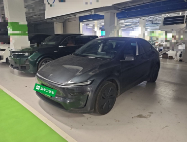 Tesla Model Y 2025 Tesla Model Y 2025 car image