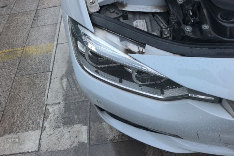 BMW 3 Series 2019 car image #8