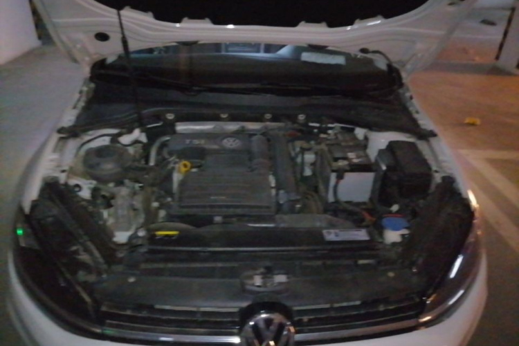 Volkswagen Golf 2019 #20 Volkswagen Golf 2019 car image #20