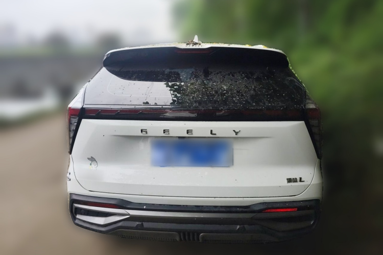 GEELY Boyue L 2023 #4 GEELY Boyue L 2023 صورة سيارة #4