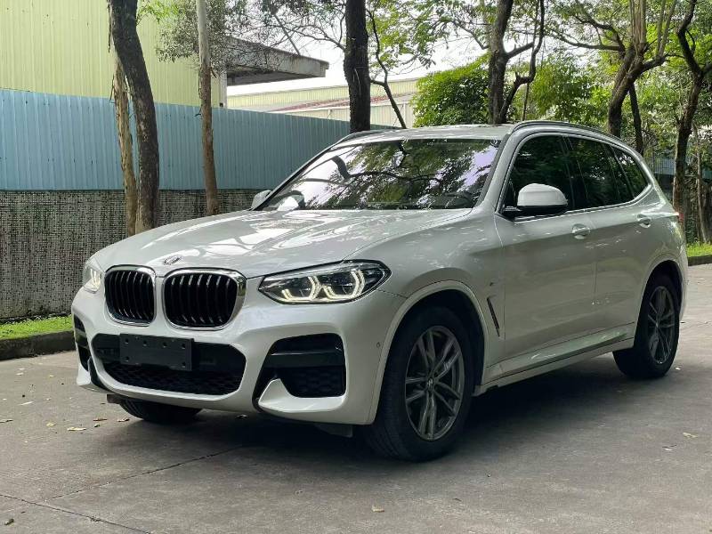 BMW X3 2020 immagine di auto 