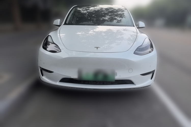 Tesla Model Y 2021 #3 Tesla Model Y 2021 car image #3